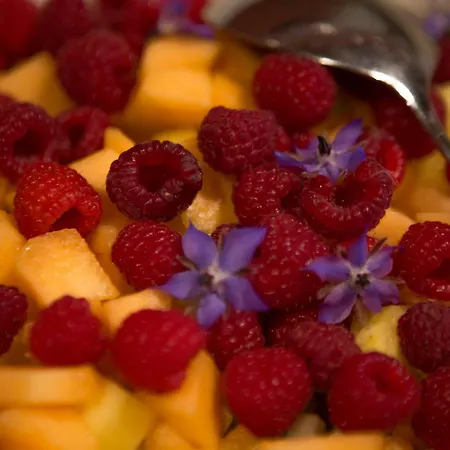 فندق مبيت وإفطار Chez Tante Alice