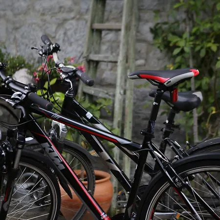 فندق مبيت وإفطار Chez Tante Alice 3*