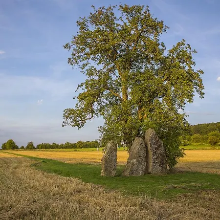 Chez Tante Alice 3* دربي