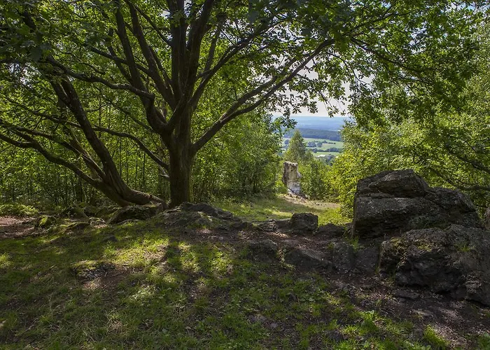 Chez Tante Alice Bed & Breakfast